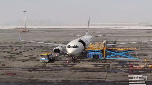 新疆國際貨運包機業務全面恢復，為國際物流注入新動能