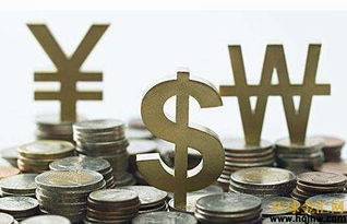 炒實(shí)盤(pán)與外匯咨詢(xún) 風(fēng)險(xiǎn)與機(jī)遇的博弈